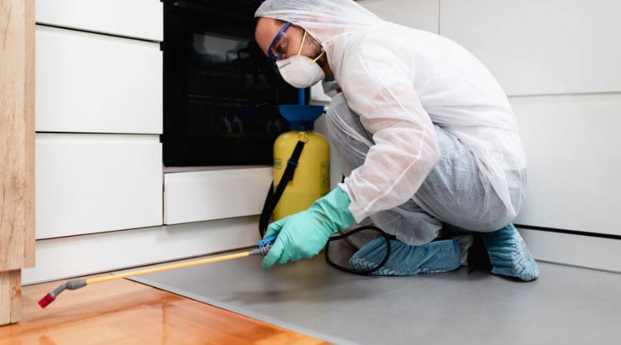 Why choose IPM Inkster for integrated pest management in Inkster